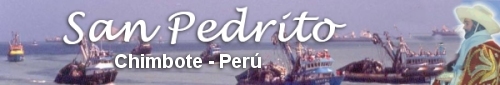 Fiesta de San pedrito