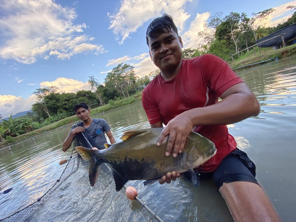 Acuicultura 11 (1).jpg