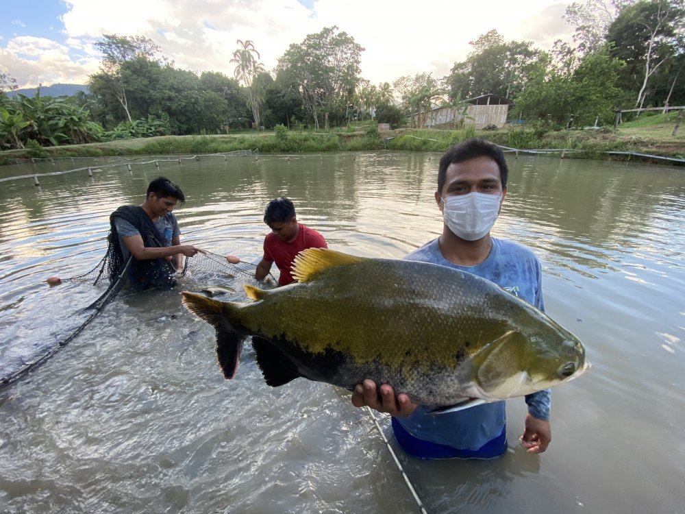Acuicultura 6.JPG