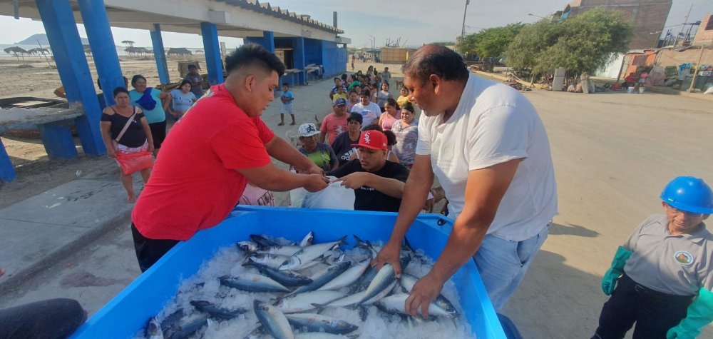 Donación de pescado en Caleta.jpeg