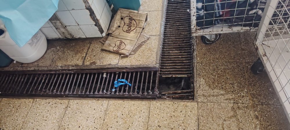 drenaje con rejillas rotas.jpeg