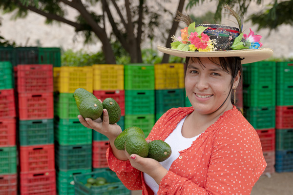 exportacion-paltas-ancashinas1.jpg