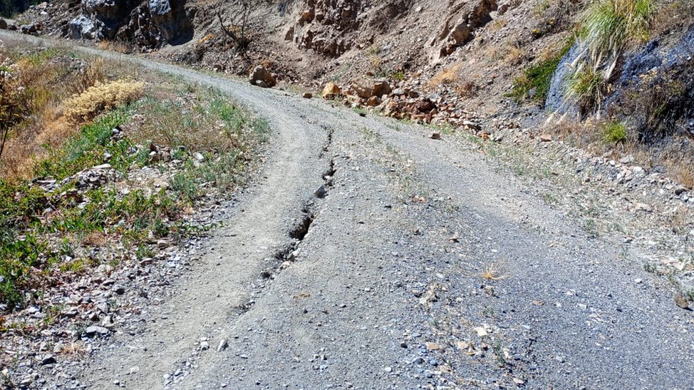 Huandoval 4.jpeg