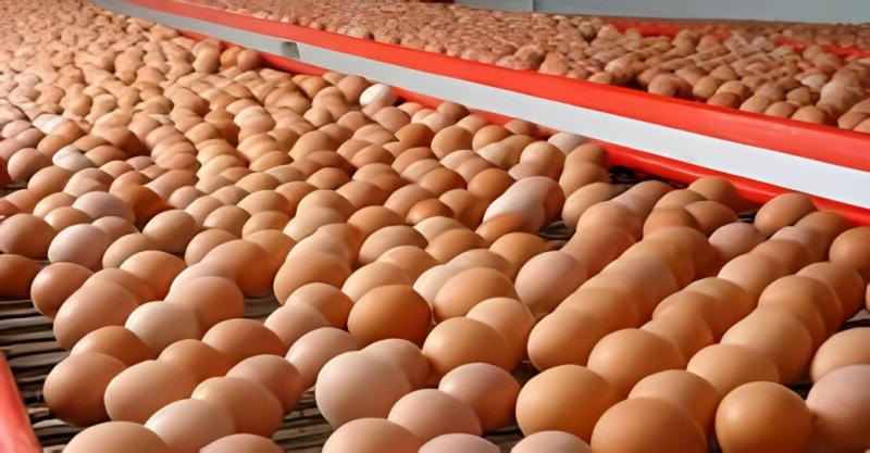 huevos.jpg