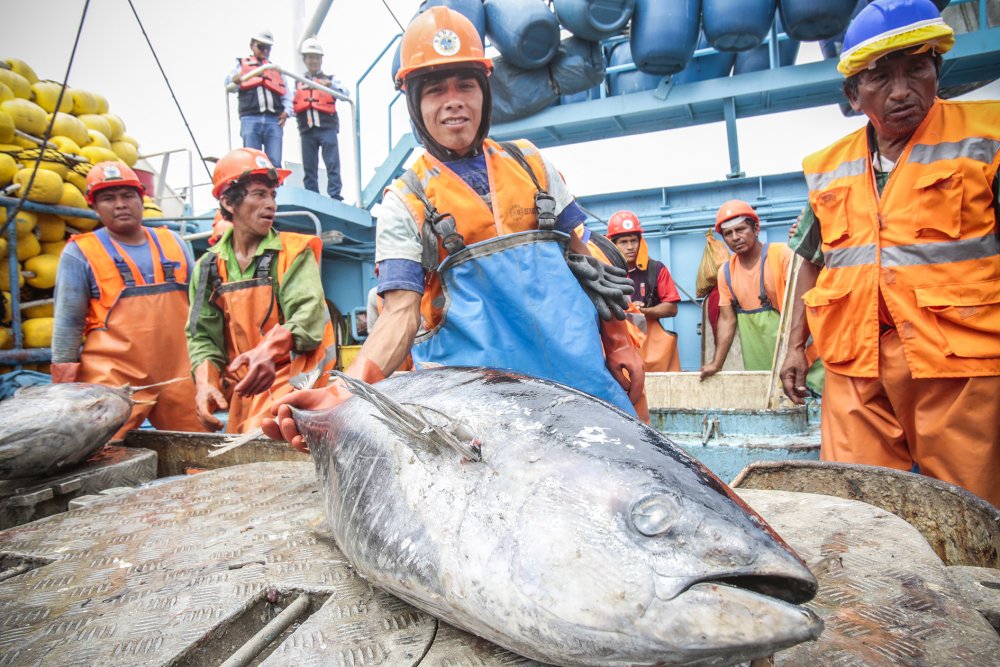 Pesca 16.jpg