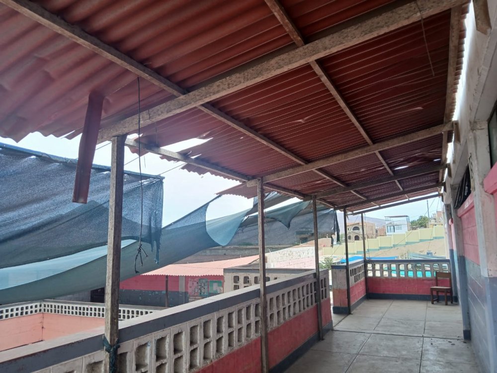 Teresa De Fanning.jpg