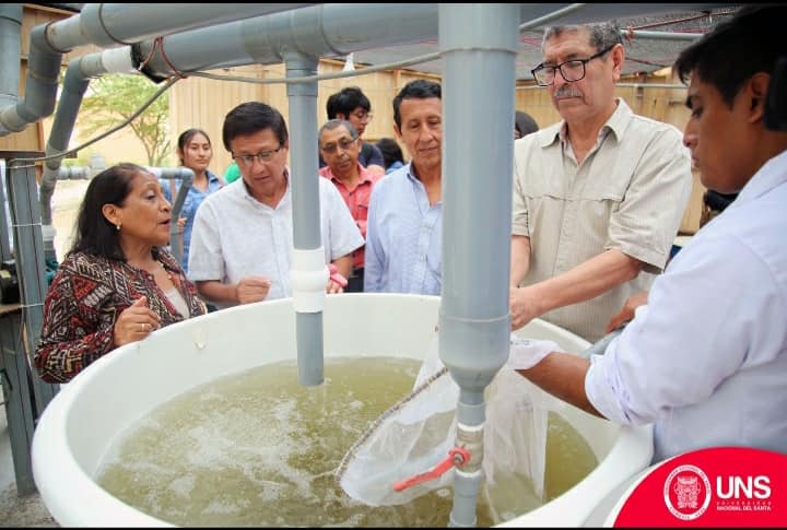 UNS_Tilapia2.jpg