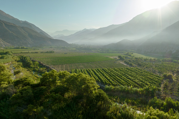 Valle Fortaleza.jpg