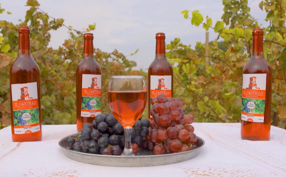 vinos-huarmey-cosecha2022.jpg