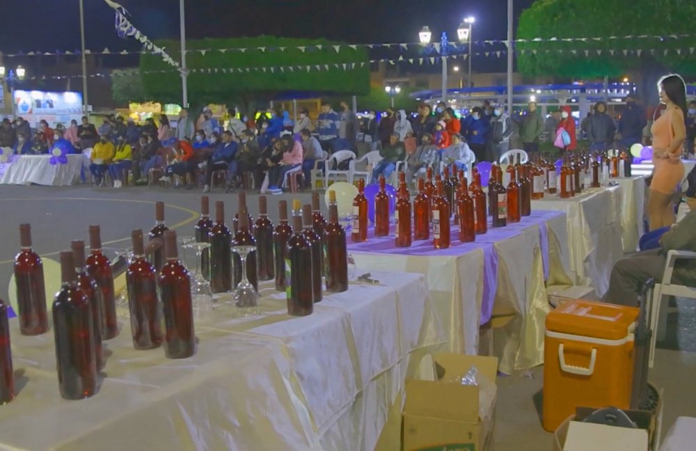 vinos-huarmey-cosecha2022a.jpg