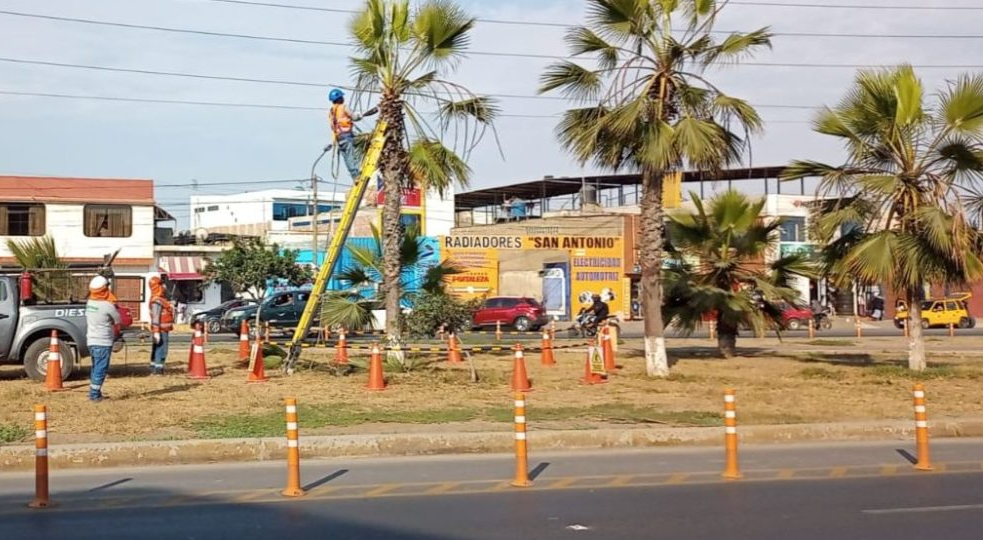 Multan a empresa de mantenimiento eléctrico por podar palmeras de la Av. Pardo sin autorización municipal