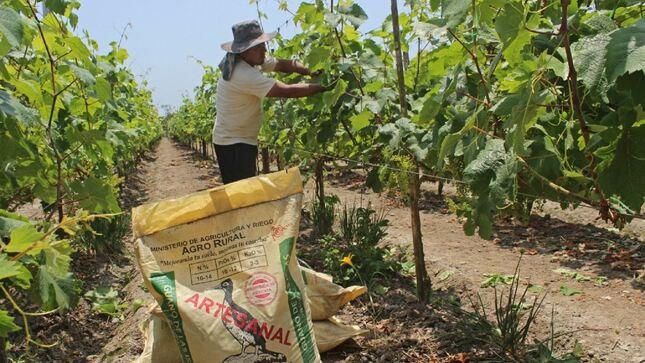 MTPE: Estas fueron las ocupaciones con mayor demanda durante el 2021