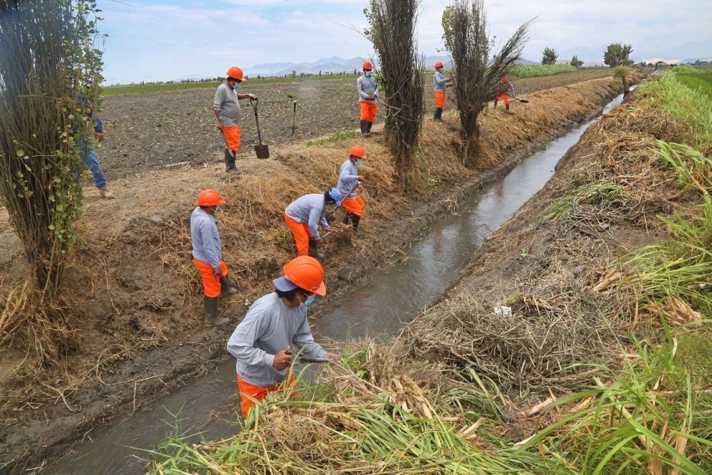 Ejecutan mantenimiento de Dren la Aguada para evitar inundación de cultivos