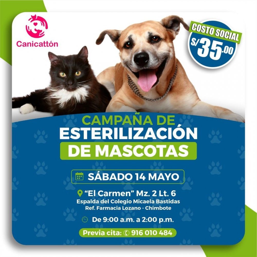 Esterilizacion de mascotas.jpg