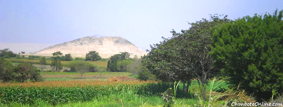 Cerro Calavera_.png