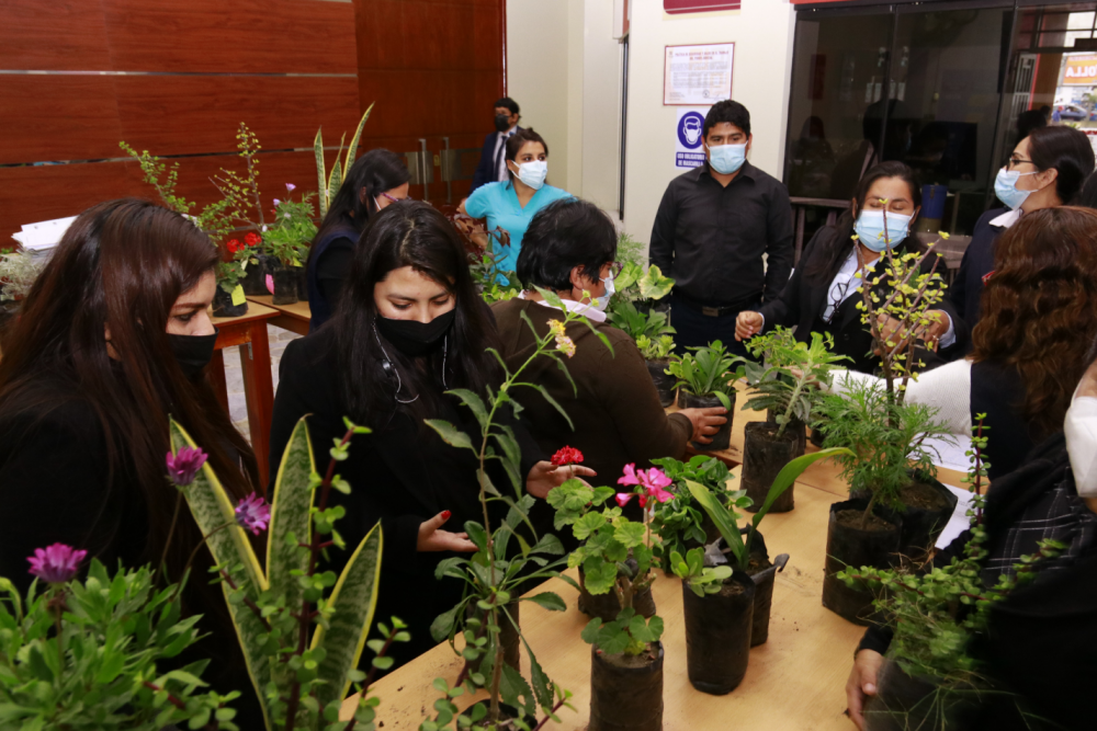 Corte del Santa realizó campaña adopta una planta