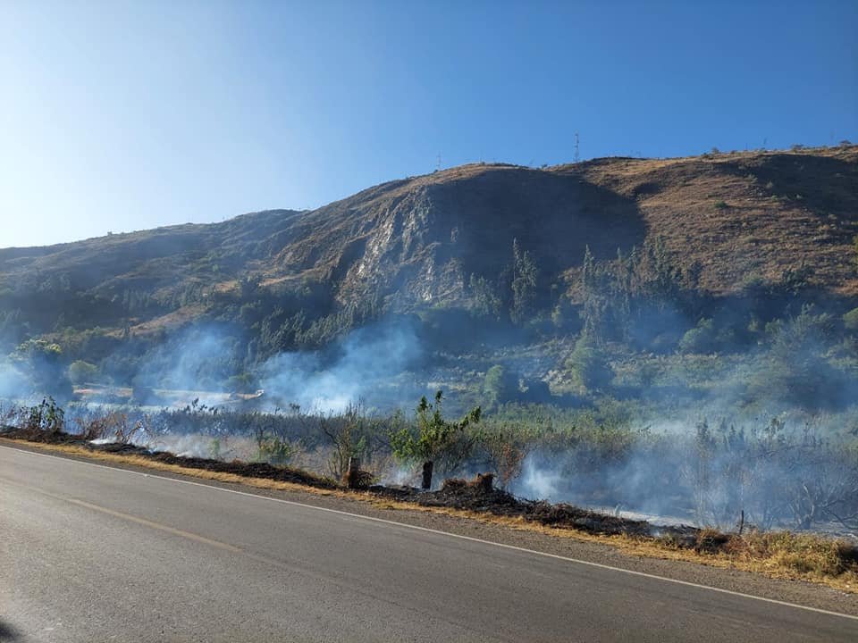 Incendio destruyó cultivos en Mancos