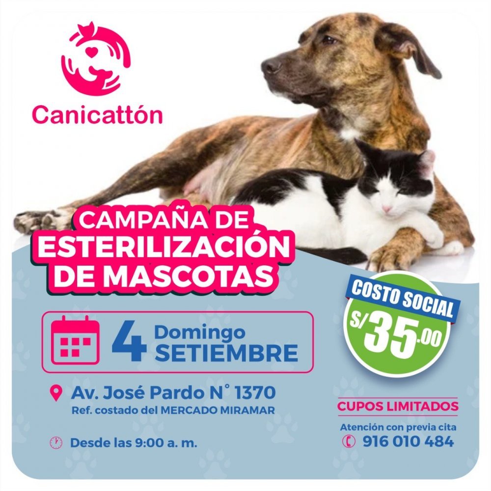 Esterilizacion mascotas.jpg