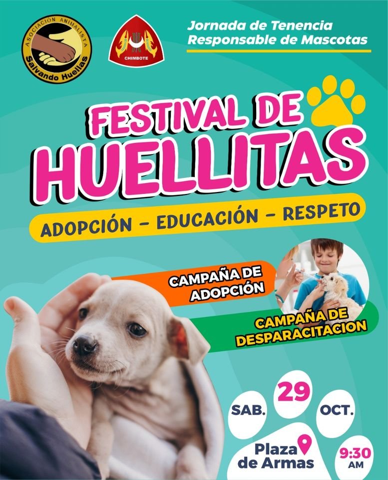 Festival Huellitas Chimbote.jpg