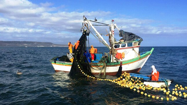Primera temporada de pesca en zona norte y centro del Perú iniciaría a fines de mayo