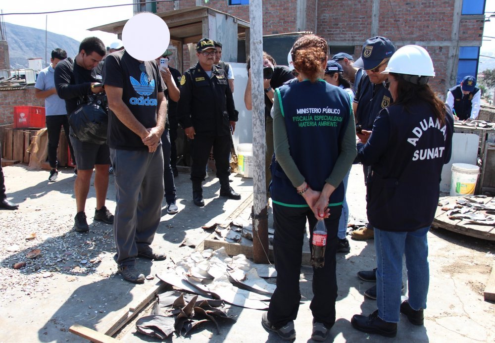 FEMA allana vivienda donde realizaba secado de aletas de tiburón en Chimbote