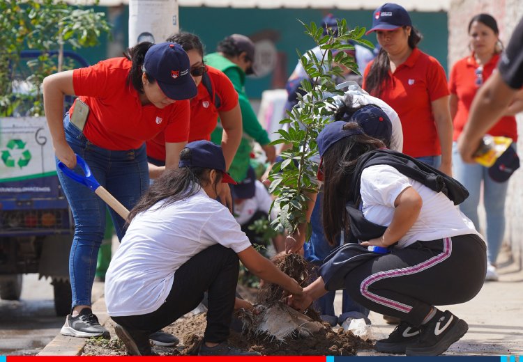 UCV entre las mejores universidades en sostenibilidad ambiental