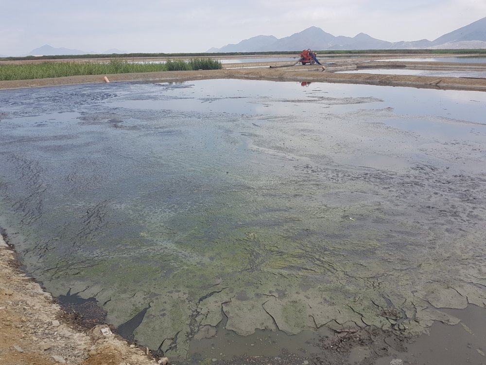 Sunass multa con 30 UIT a Sedachimbote por no mantener en condiciones adecuadas las PTAR Centro Sur y Las Gaviotas