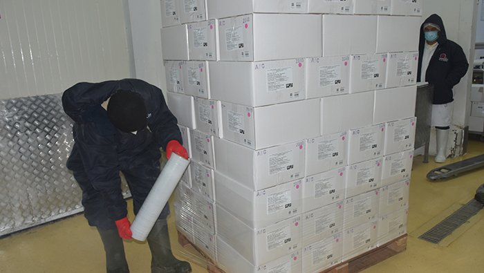Sanipes emitirá más de 24 500 certificados sanitarios en 2025 para fortalecer el comercio de productos hidrobiológicos
