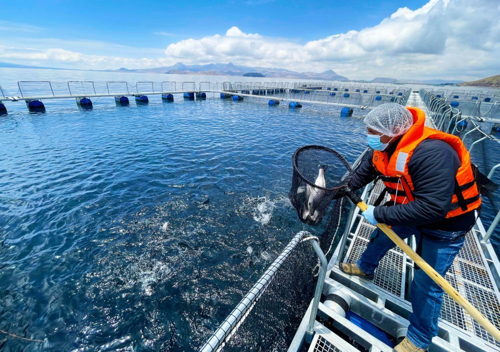 Más de mil operadores de pesca y acuicultura formalizados sanitariamente en el primer semestre de 2025