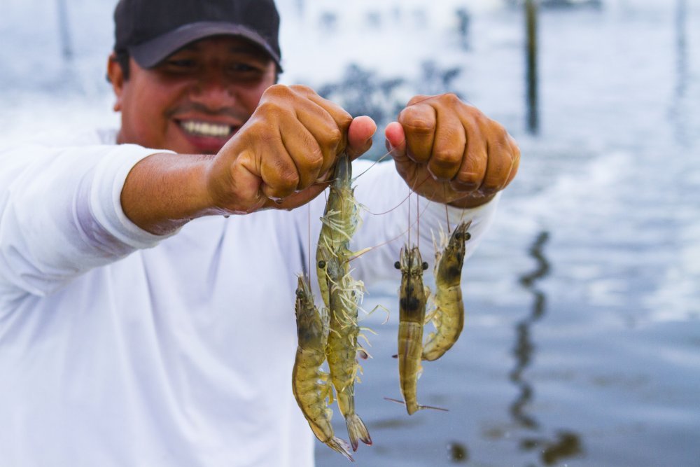 Se prepublicó el reglamento de sanciones de Sanipes que fortalece cumplimiento de normas que garantizan la inocuidad de productos hidrobiológicos