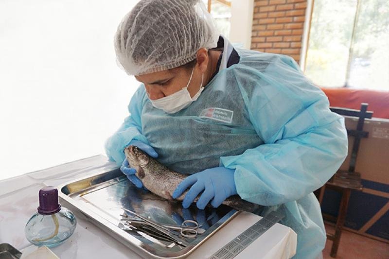 Sanipes actualiza la lista de enfermedades infecciosas y especies susceptibles de los recursos hidrobiológicos