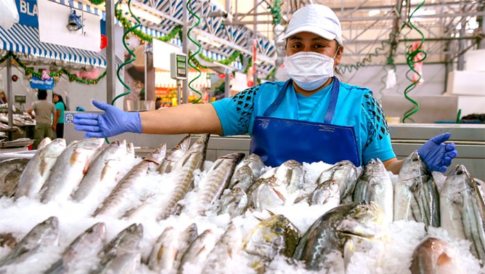 Sanipes refuerza recomendaciones para la compra segura de pescado ante el incremento de su consumo en verano