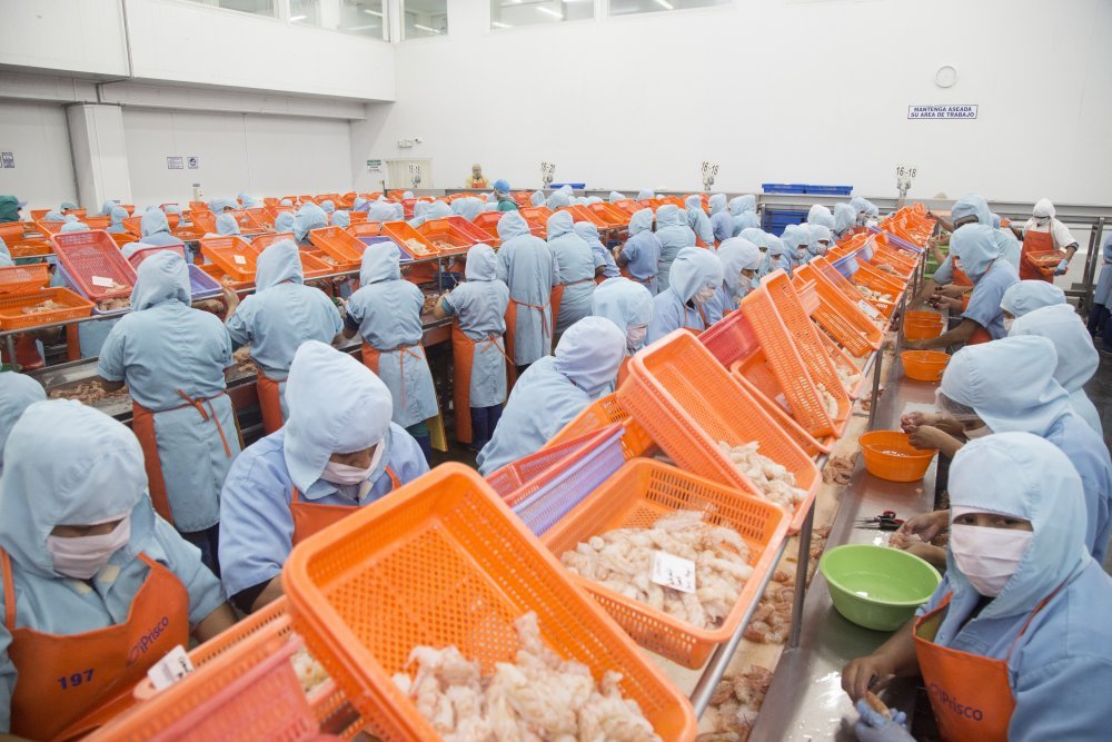 Tacna fortalece su comercio pesquero con capacitación sanitaria a 50 operadores para exportación e importación