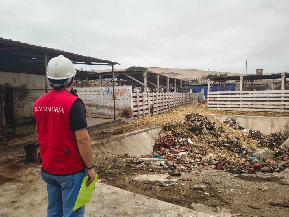 Contraloría advierte incumplimiento de obligaciones ambientales en camal municipal de Chimbote